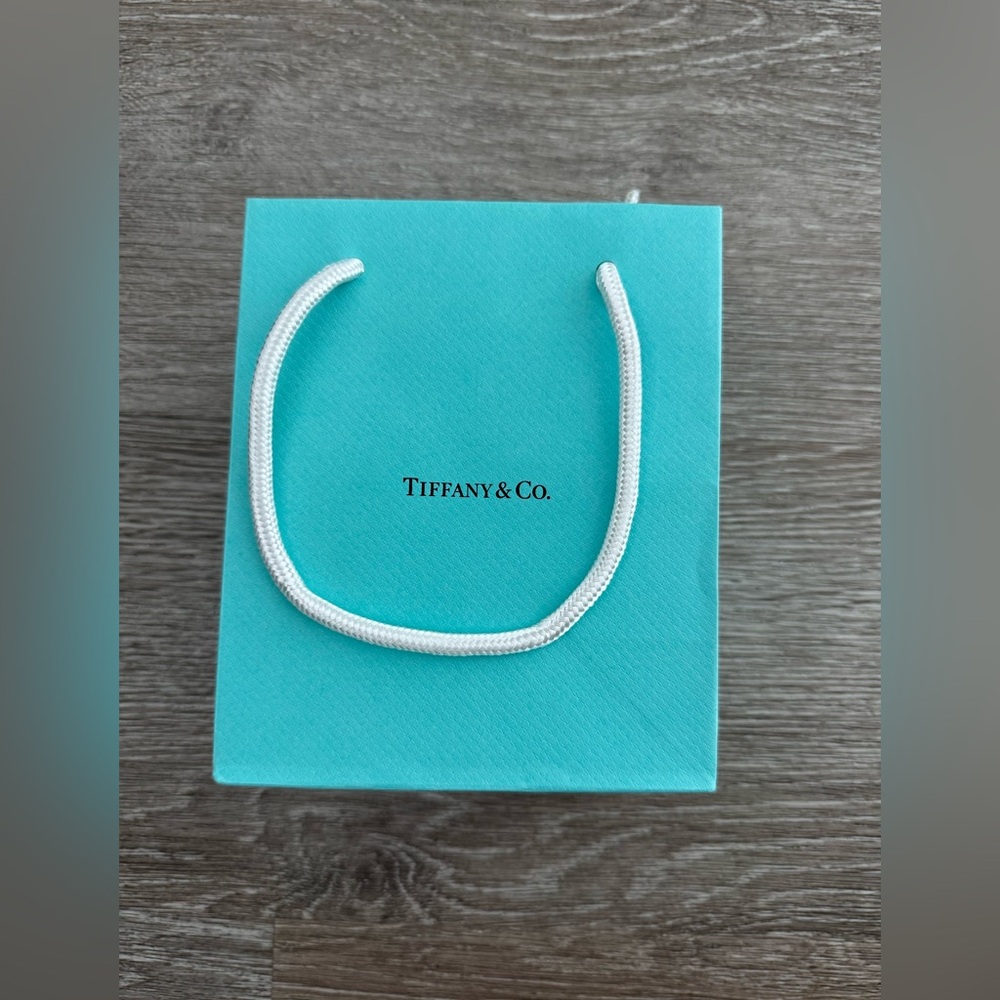 Tiffany & Co EUC Authentic Tiffany Blue Craft Paper Bag Small With White Handles